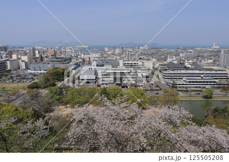 春、桜満開の丸亀城から見る丸亀市街と瀬戸内海(丸亀市役所新庁舎、丸亀港) 春、桜満開の丸亀城から見る丸亀市街と瀬戸内海(丸亀市役所新庁舎、丸亀港) 125505208
