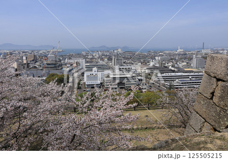 春、桜満開の丸亀城から見る丸亀市街と瀬戸内海 125505215