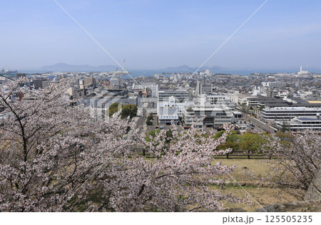 春、サクラ満開の丸亀城の本丸から眺める丸亀市街風景 125505235