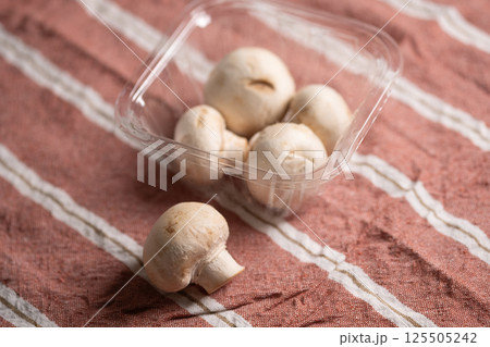 マッシュルームのイメージ　(写真素材) 125505242