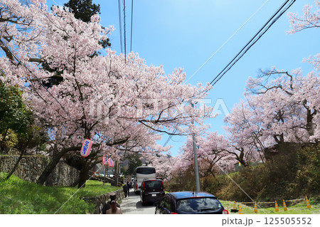 高遠城址 進徳館前の花見渋滞(長野県 高遠町) 高遠城址 進徳館前の花見渋滞(長野県 高遠町) 125505552