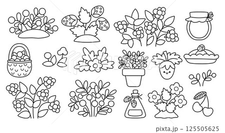 Vector black and white berry clipart set. Woodland or garden plants line icons collection. Forest nature illustration, coloring page with strawberry, cranberry, raspberry, blackberry, jam, basket 125505625