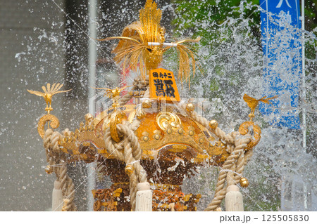 富岡八幡宮例大祭/深川八幡祭り 富岡八幡宮例大祭/深川八幡祭り 125505830