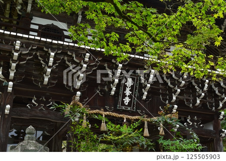 善峯寺の山門 善峯寺の山門 125505903