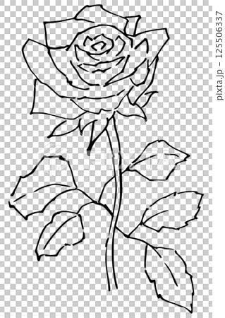 玫瑰線描插畫素材向量 玫瑰線描插畫素材向量 125506337