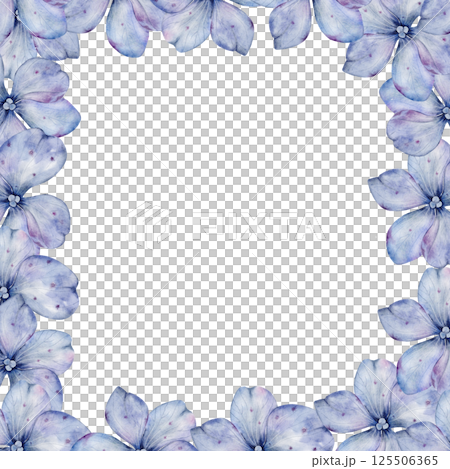 Blue hydrangea flowers watercolor frame. Hand drawn delicate flower on isolated white background. Botanical illustration. Ideal for wedding and birthday cards Blue hydrangea flowers watercolor frame. Hand drawn delicate flower on isolated white background. Botanical illustration. Ideal for wedding and birthday cards 125506365