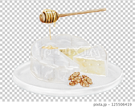 Camembert or brie cheese on a white plate watercolor drawing. Hand drawn illustration of dairy cream product with honey and walnuts of French cuisine. Clip art of food on white background. Ideal for 125506419