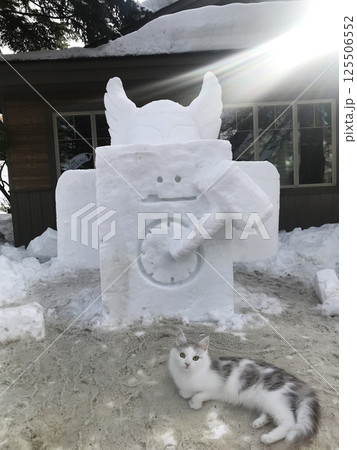 McCall, Idaho, USA - 01.27.2019: Snow figure and cat in the city in snowy weather on Payette Lake McCall, Idaho, USA - 01.27.2019: Snow figure and cat in the city in snowy weather on Payette Lake 125506552