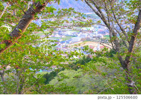 周匝茶臼山城 周匝茶臼山城 125506680