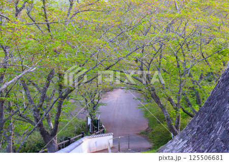 周匝茶臼山城 周匝茶臼山城 125506681