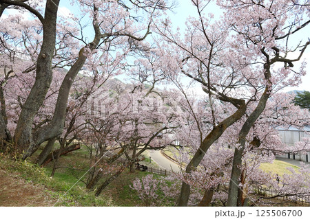 高遠城址公園 法幢院曲輪からの風景（長野県 高遠町） 125506700