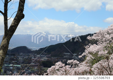高遠城址公園 桜の季節（長野県 高遠町） 125506703