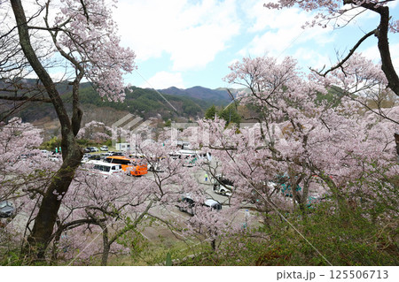 高遠城址公園 バス駐車場(長野県 高遠町) 高遠城址公園 バス駐車場(長野県 高遠町) 125506713