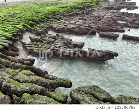 海岸線 空撮 鳥瞰図 125506768