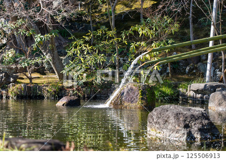 鎌倉　長谷寺　金色提灯の山門 125506913