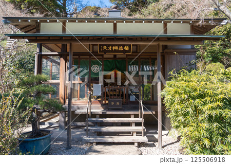 鎌倉 長谷寺 金色提灯の山門 鎌倉 長谷寺 金色提灯の山門 125506918