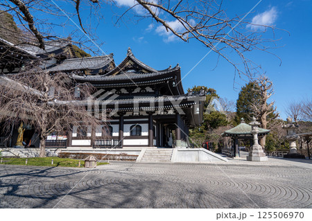 鎌倉　長谷寺　金色提灯の山門 125506970