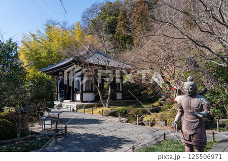 鎌倉　長谷寺　金色提灯の山門 125506971