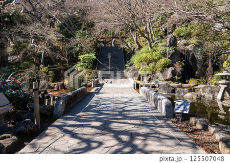 鎌倉　長谷寺　金色提灯の山門 125507048