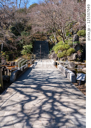 鎌倉 長谷寺 金色提灯の山門 鎌倉 長谷寺 金色提灯の山門 125507049