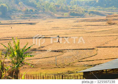 ラオス、シェンクワーン県ポーンサワン周辺の風景 ラオス、シェンクワーン県ポーンサワン周辺の風景 125507130