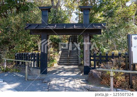 鎌倉　妙本寺　総門 125507324