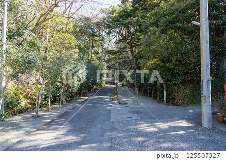 鎌倉　妙本寺　総門 125507327