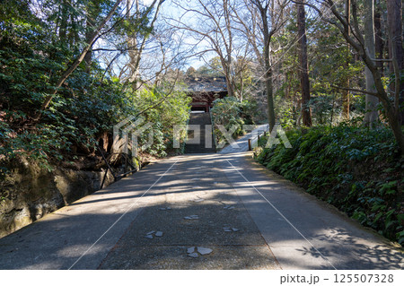 鎌倉　妙本寺　総門 125507328