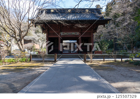 鎌倉　妙本寺　総門 125507329
