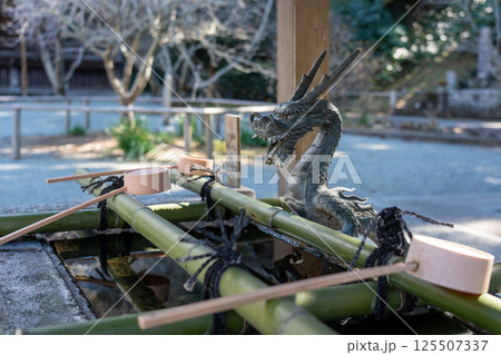 鎌倉 妙本寺 総門 鎌倉 妙本寺 総門 125507337