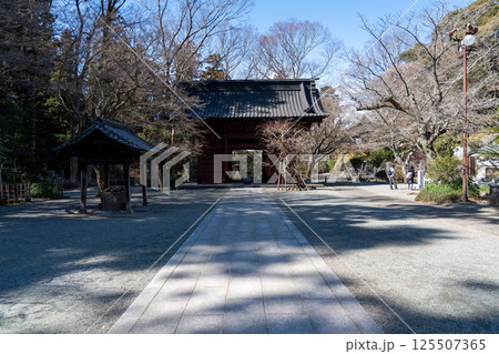鎌倉　妙本寺　総門 125507365