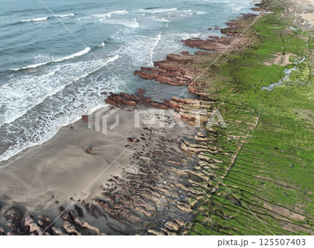 台湾 空撮 鳥瞰図 125507403