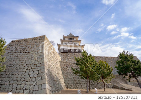 丸亀城の石垣と天守閣の風景 125507813