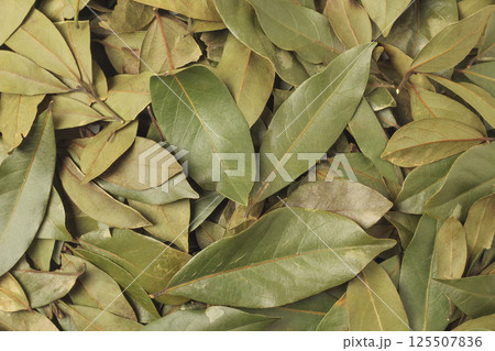Dried bay leaves Dried bay leaves 125507836