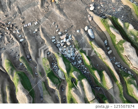 台湾 クロ－ズアップ クローズアップ 125507874