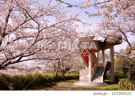 春の袖ヶ浦公園 鏡ヶ峰展望台 春の袖ヶ浦公園 鏡ヶ峰展望台 125508122