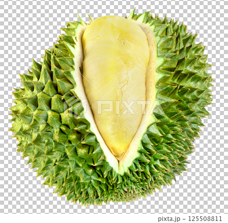 ripe durian fruit isolated ripe durian fruit isolated 125508811
