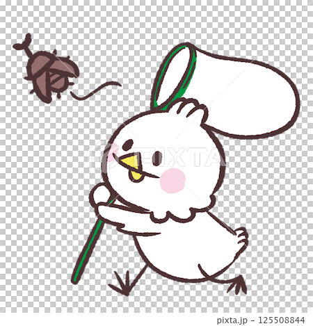 Illustration of a white bird chasing a rhinoceros beetle Illustration of a white bird chasing a rhinoceros beetle 125508844