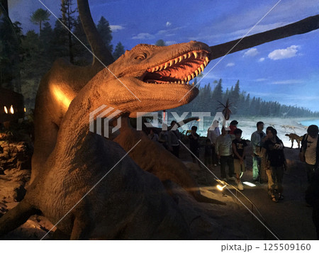 福井県立恐竜博物館(福井県勝山市) 125509160
