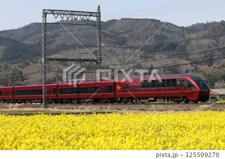 近鉄80000系ひのとり 125509270