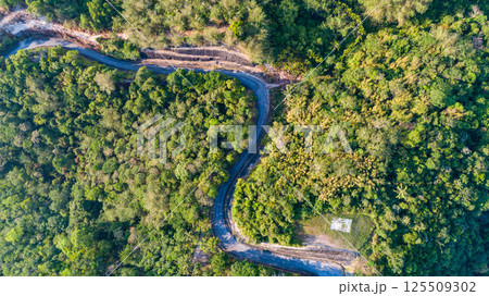 Top view green forest trees background, Beautiful green nature background Top view green forest trees background, Beautiful green nature background 125509302