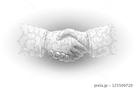 Handshake on white. Business meeting, investment deal, financial network, trusted partnership 125509720