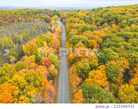 A scenic winding road through a vibrant forest showcasing stunning fall colors and natural beauty 125509742