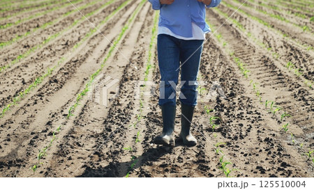 Farmer walks through agricultural field. Male guy entrepreneur walks along corn crops checks quality of harvest plans measures to care of soil plants watering fertilizing weeding pest disease control 125510004