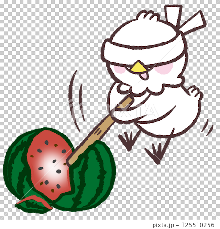 一隻白鳥劈西瓜的插圖 一隻白鳥劈西瓜的插圖 125510256