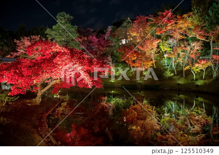 Colorful maple leaves light up with reflection on pond in fall garden, Kyoto Colorful maple leaves light up with reflection on pond in fall garden, Kyoto 125510349