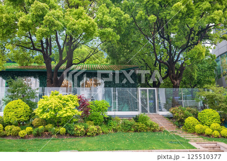 Cafe and restaurant with greenery environment by North Bund shore, Shanghai 125510377