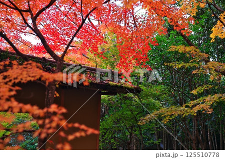 秋を知らせる日本庭園の風景 秋を知らせる日本庭園の風景 125510778