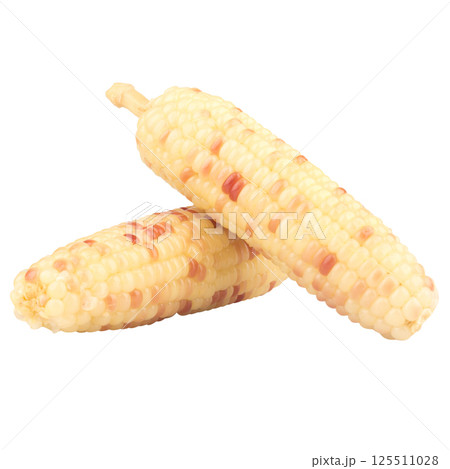 waxy corn isolated on white background waxy corn isolated on white background 125511028