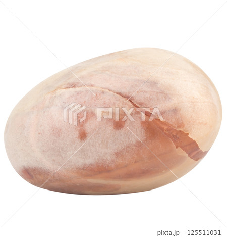 Jackfruit seeds isolated on white background 125511031
